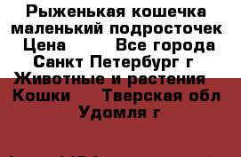 Рыженькая кошечка маленький подросточек › Цена ­ 10 - Все города, Санкт-Петербург г. Животные и растения » Кошки   . Тверская обл.,Удомля г.